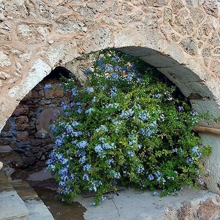 Tania Village Zakros Maisonette 외부 사진