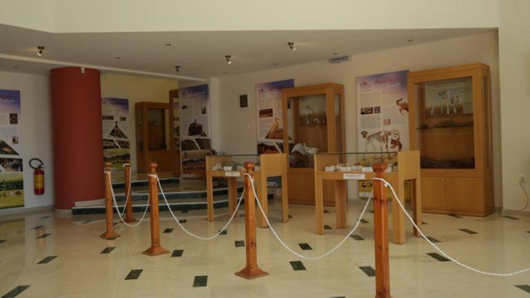 Tania Village Zakros Maisonette 외부 사진
