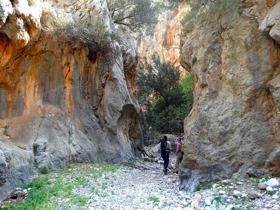 Tania Village Zakros Maisonette 외부 사진