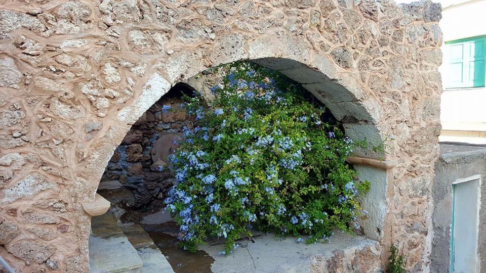Tania Village Zakros Maisonette 외부 사진